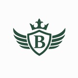 Telegram profile photo for 【BA】SSEM丨STORE个👑