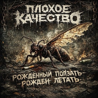 Telegram profile photo for ПЛОХОЕ КАЧЕСТВО