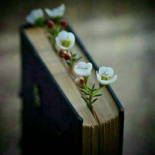 Telegram profile photo for ومَاذَا بَعد.!
