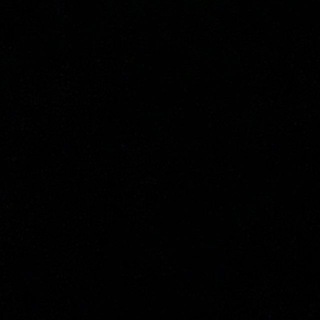 Telegram profile photo for swaggov