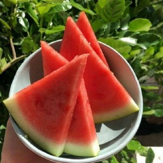 Telegram profile photo for Рен!! 🍉