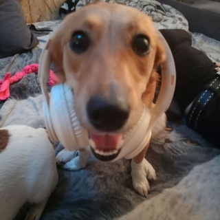 Telegram profile photo for Спортивная дворь