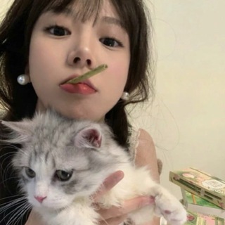 Telegram profile photo for 纸飞机的第一深情.