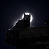 Telegram profile photo for batcatportal_sol