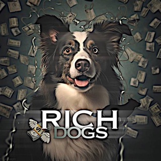 Telegram profile photo for Rich.dogs🤍