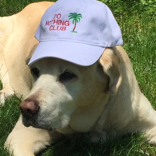 Telegram profile photo for dankbois