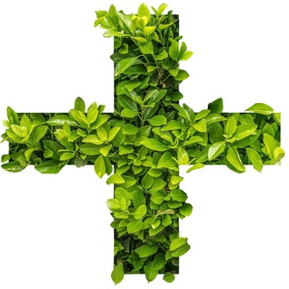 Telegram profile photo for Health Pro