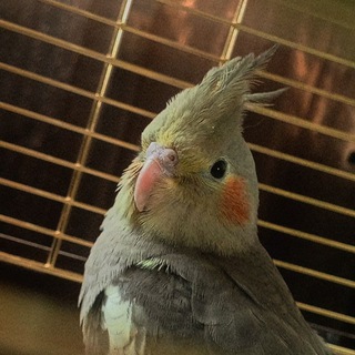 Telegram profile photo for Ааааыаыаыы (не личный)