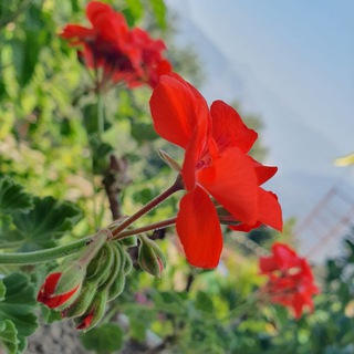 Telegram profile photo for قنوت جویبار