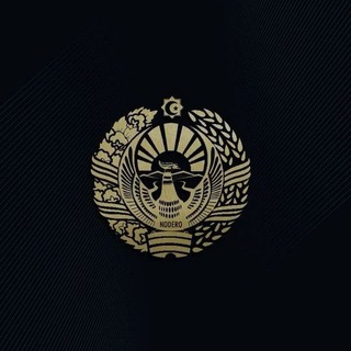 Telegram profile photo for VIBE
