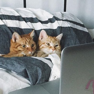 Telegram profile photo for Лучшие американские сериалы