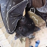 Telegram profile photo for ☾ Star Bat Studio