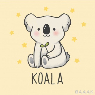 Telegram profile photo for K O A L A K I D S 🐨