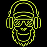 Telegram profile photo for 365dayswithmusic