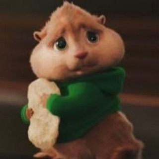 Telegram profile photo for Сеня.pub