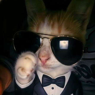 Telegram profile photo for 💸X777XX💸