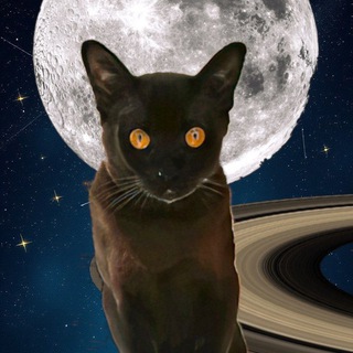 Telegram profile photo for Книгочей Мария и Ко