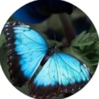 Telegram profile photo for 🦋🍃En Armonía