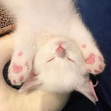 Telegram profile photo for `โข ๐ฝ๐ฟ๐ผ๐ผ๐ณ๐ ๐ฏ๐น๐๐๐ธ๐ถ โข`