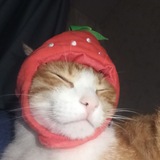 Telegram profile photo for Склад кондры