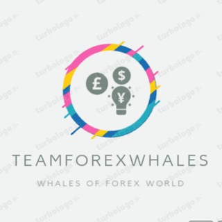 Telegram profile photo for TeamKunalForexwhales