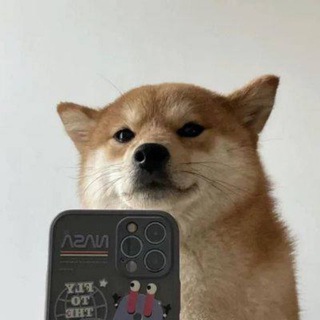 Telegram profile photo for Selfie Dog - Verify