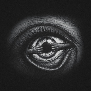 Telegram profile photo for FYHO