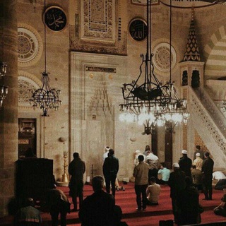 Telegram profile photo for مَلاذ.