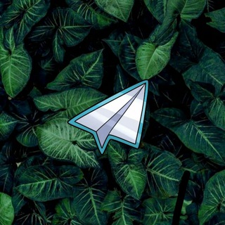 Telegram profile photo for Kasi Sentap Satuπ