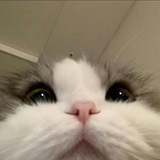 Telegram profile photo for Тосенька «Itr1bi»