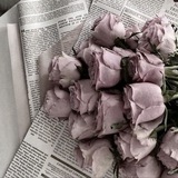 Telegram profile photo for 𝙡𝙤𝙩𝙨 𝙤𝙩 моночки//𝙢𝙤𝙣𝙖