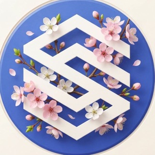 Telegram profile photo for SENAT CARS - Авто из Кореи, Японии и Китая