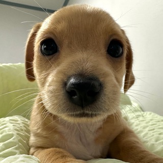 Telegram profile photo for $BILLY PORTAL