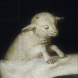Telegram profile photo for Afterall Across.