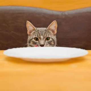 Telegram profile photo for Doomsday shortages
