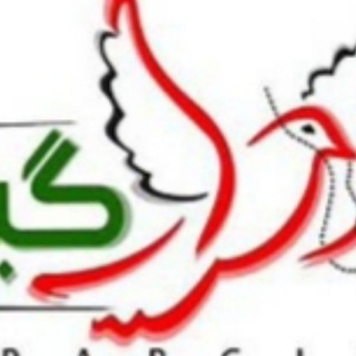 Telegram profile photo for کانال رسمی احرارگيل