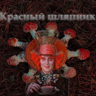Telegram profile photo for Мухоморы от "Красный Шляпник"