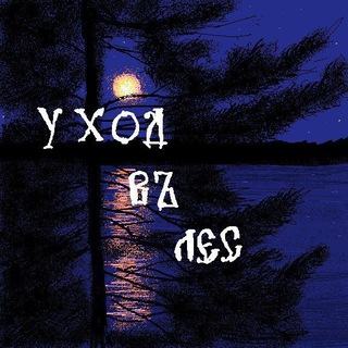 Telegram profile photo for Уход в лес 🍄