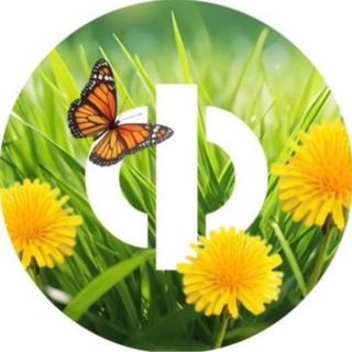 Telegram profile photo for Крымская форель | И продукты вам на стол