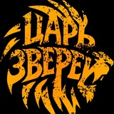 Telegram profile photo for ЦАРЬ ЗВЕРЕЙ🧨