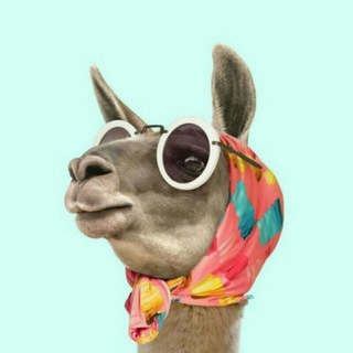 Telegram profile photo for روتين مّجانينِ.