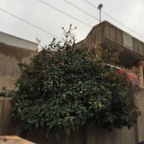 Telegram profile photo for متى نلتّقِي