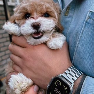 Telegram profile photo for ELITE PUPPIES | | Элитные щенки