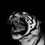 Telegram profile photo for J&J Archive