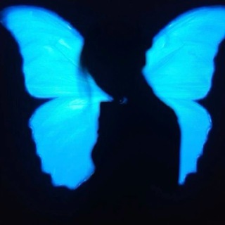 Telegram profile photo for WaTerlilY,
