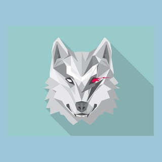 Telegram profile photo for WolvesCalls