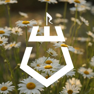 Telegram profile photo for Шебекинский муниципальный округ