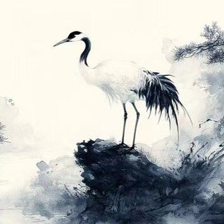 Telegram group profile photo for 公益交流群