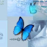 Telegram profile photo for السَـلـسـبـِيـل🩵🦋