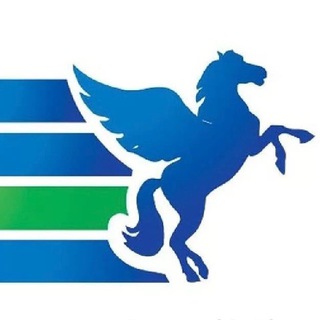 Telegram profile photo for PEGAS Touristik Пермь